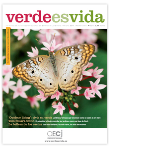 verdeesvida-Verano